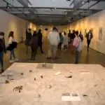 topkapı üniversitesi