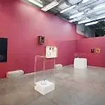 topkapı üniversitesi