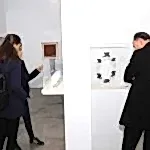 topkapı üniversitesi