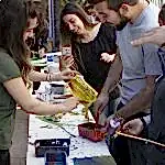 istanbul topkapı üniversitesi