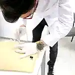 topkapı üniversitesi sağlık laboratuvarları