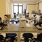 topkapı üniversitesi sağlık laboratuvarları